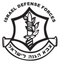 IDF Emblem Long Sleeved T-Shirt